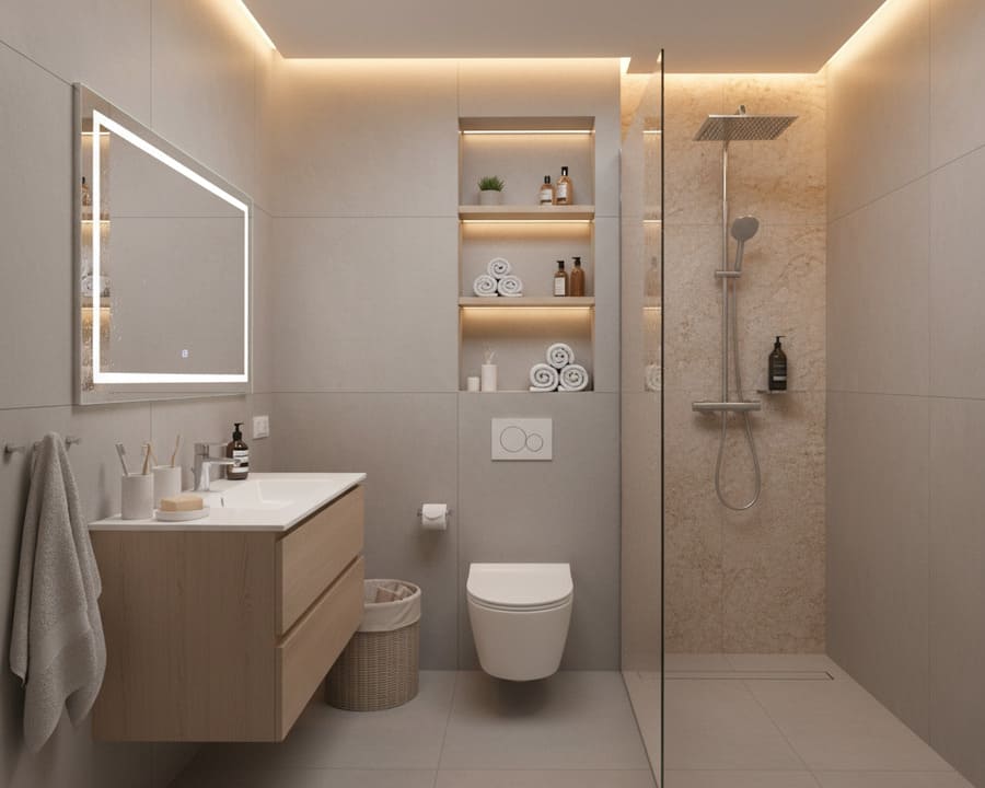 Совмещенный санузел